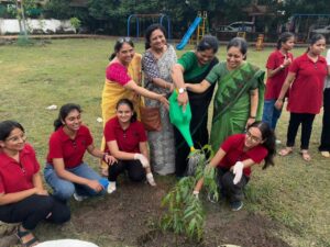 Tree Plantation Drive